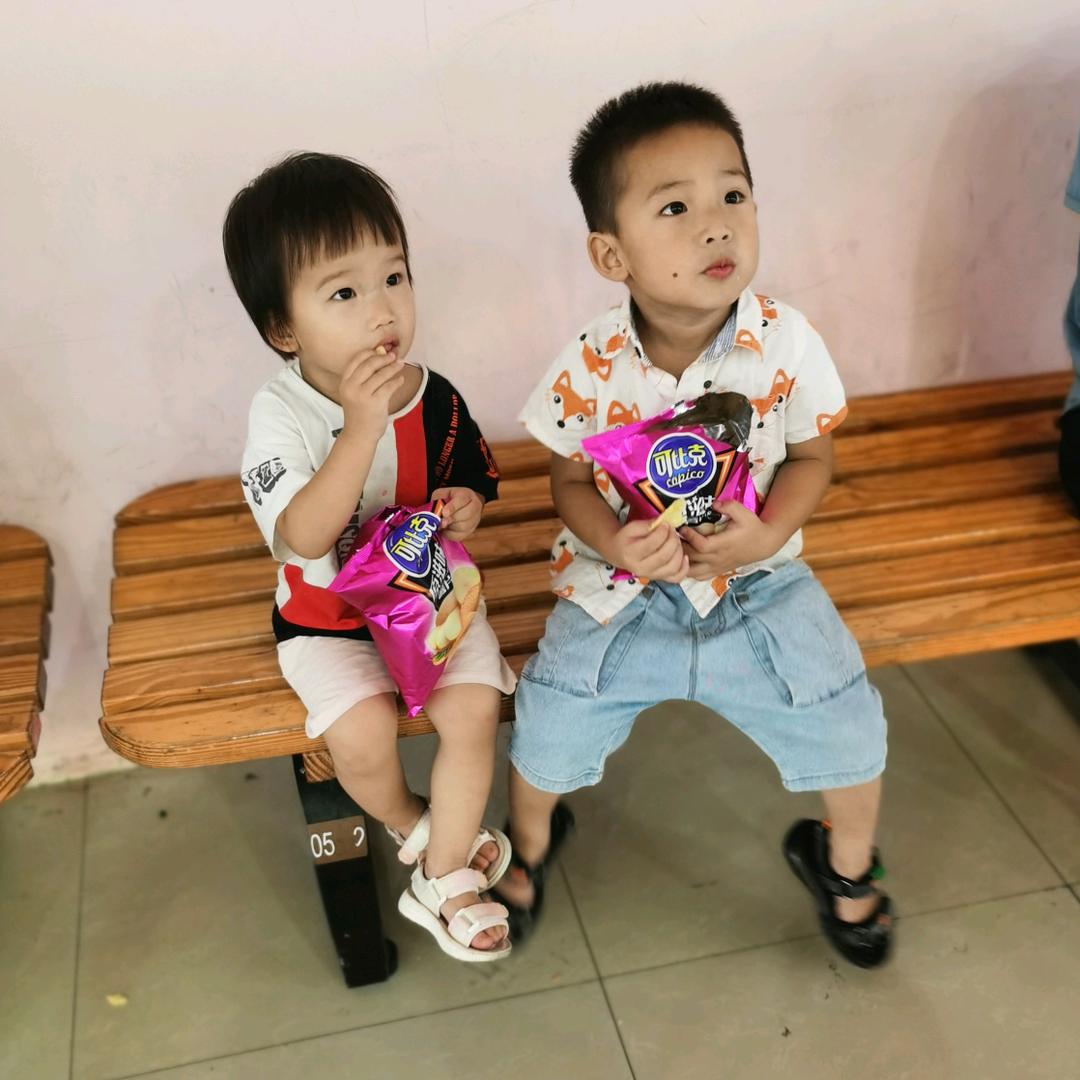 广西土猎(田园犬)