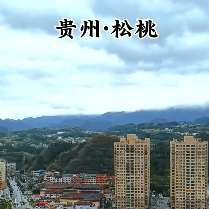 毛小姐姐