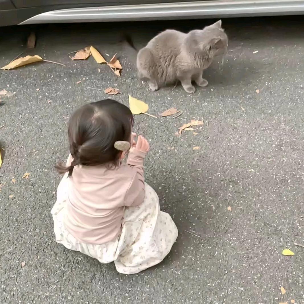 猫猫艺术家