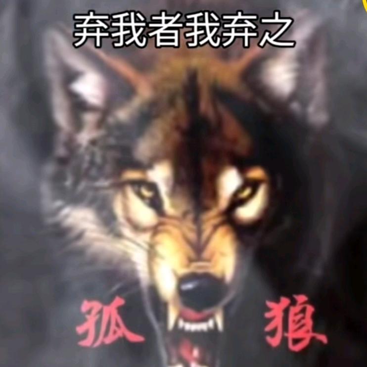 孤🐺狼