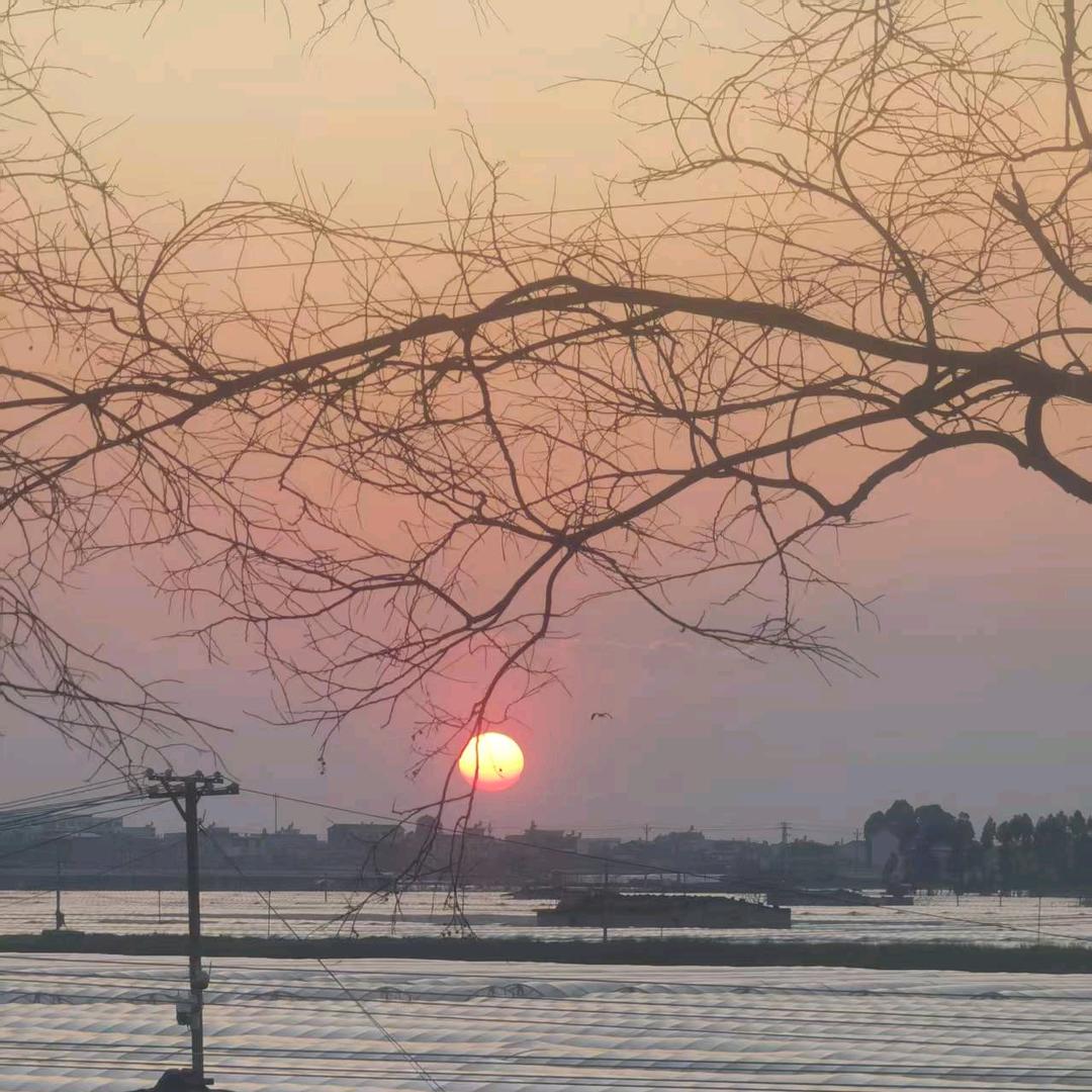 凡尘