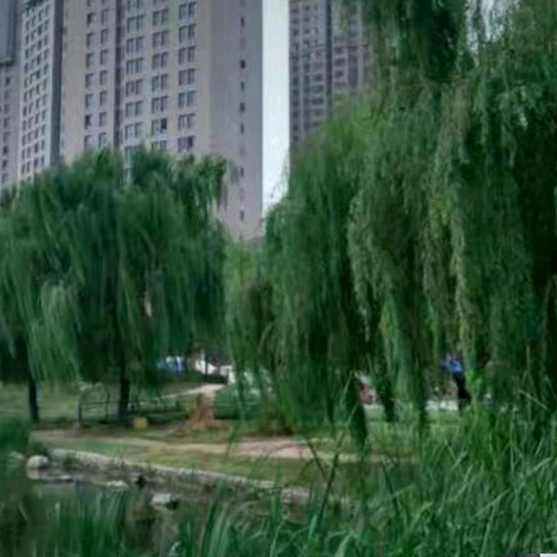 东去春来