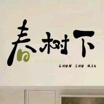 春树下服装店官方号