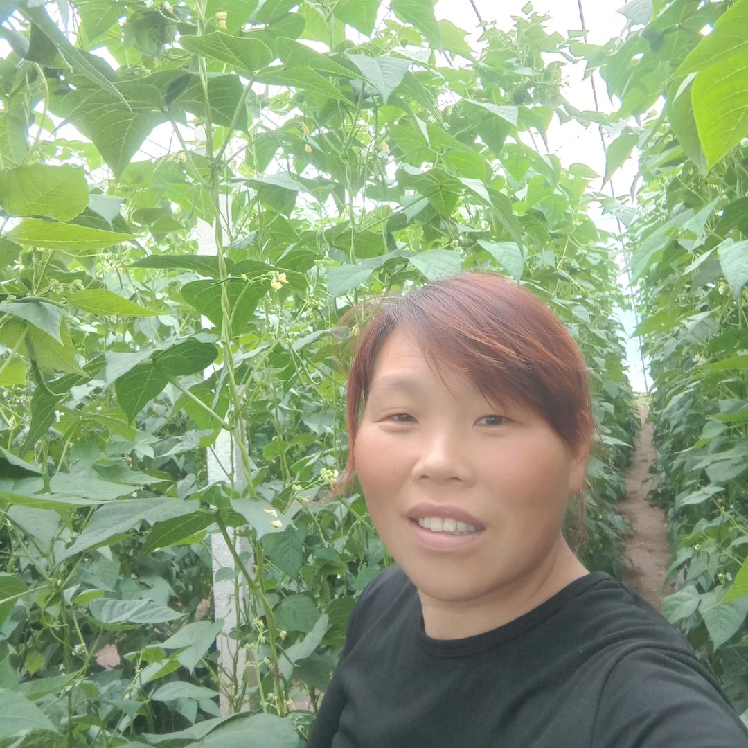 农村小梅