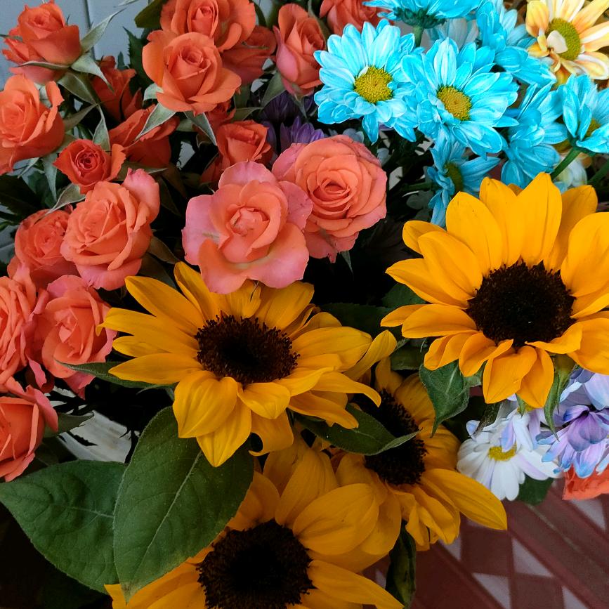 梦想成真❤520🎢☔