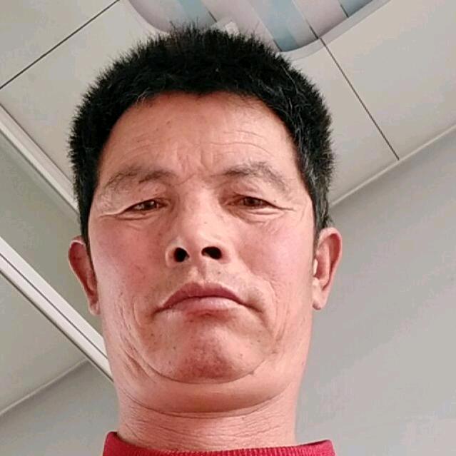 王振兴