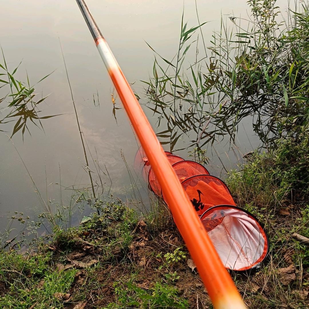 🌈小孟爱钓鱼🐟
