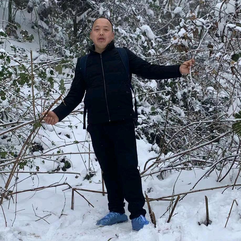 仪陇领帝厨卫李刚