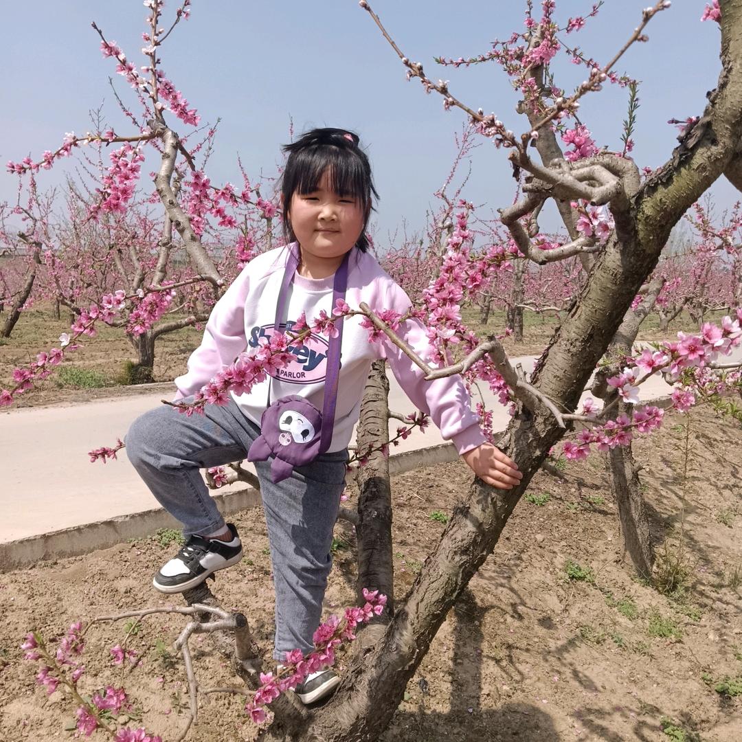 🥀ঞ淡然一笑₅₂₀💞࿐