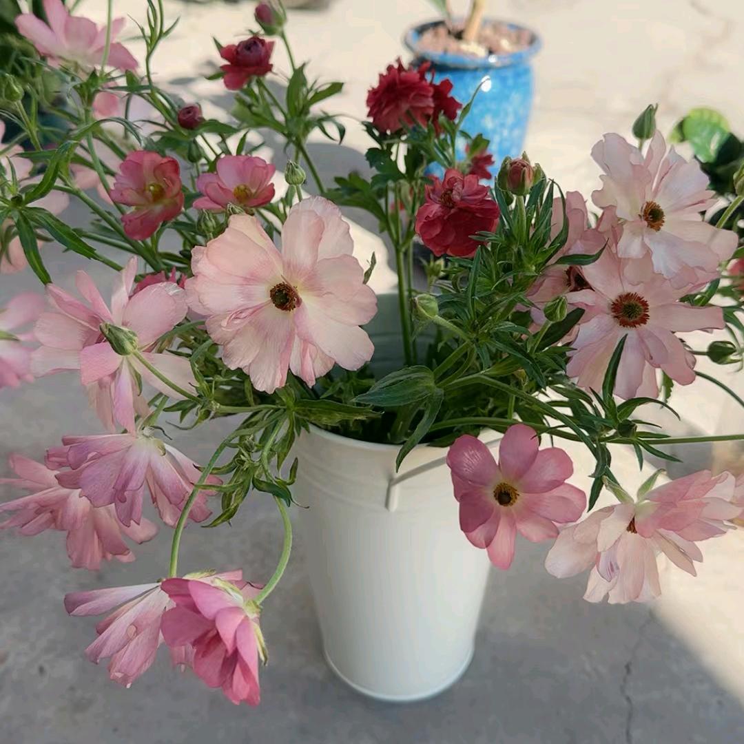 ꧁🌺余生꧔ꦿ爱自己
