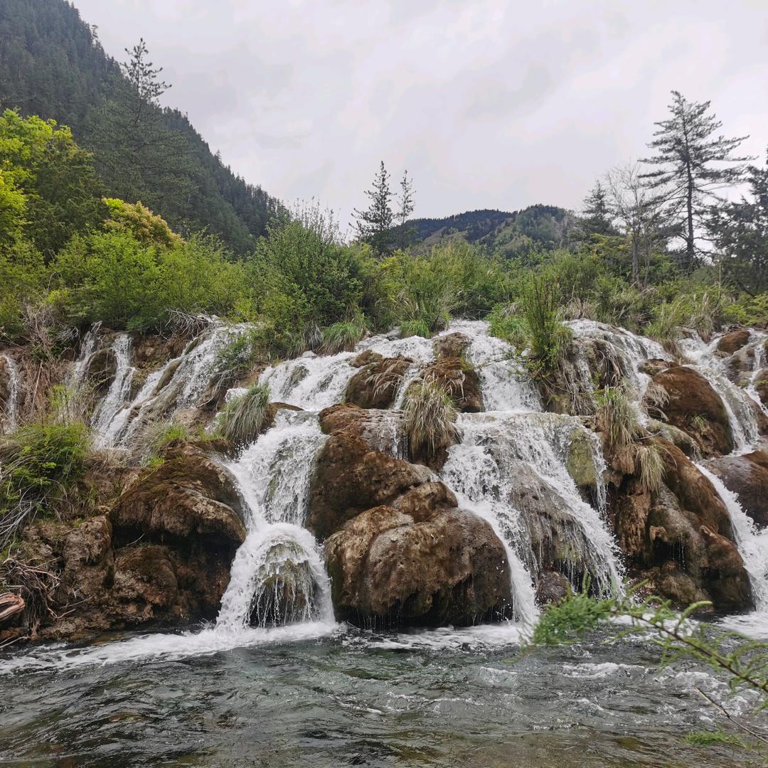 地球以外勇哥最帅
