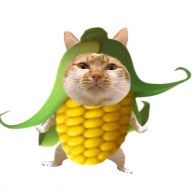 怎么有人听不懂脚步