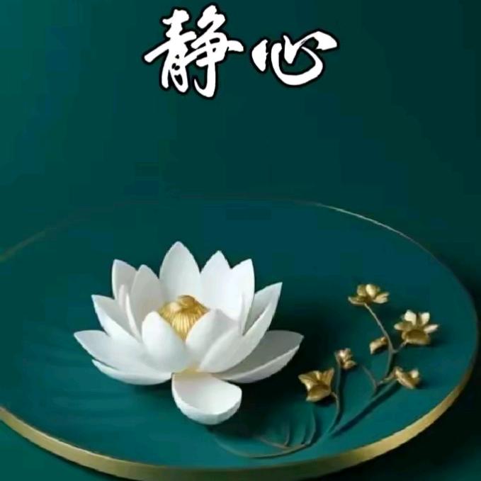 问道尘客