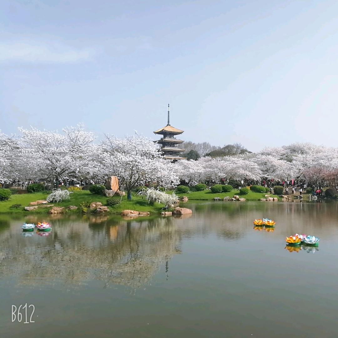 五亩园