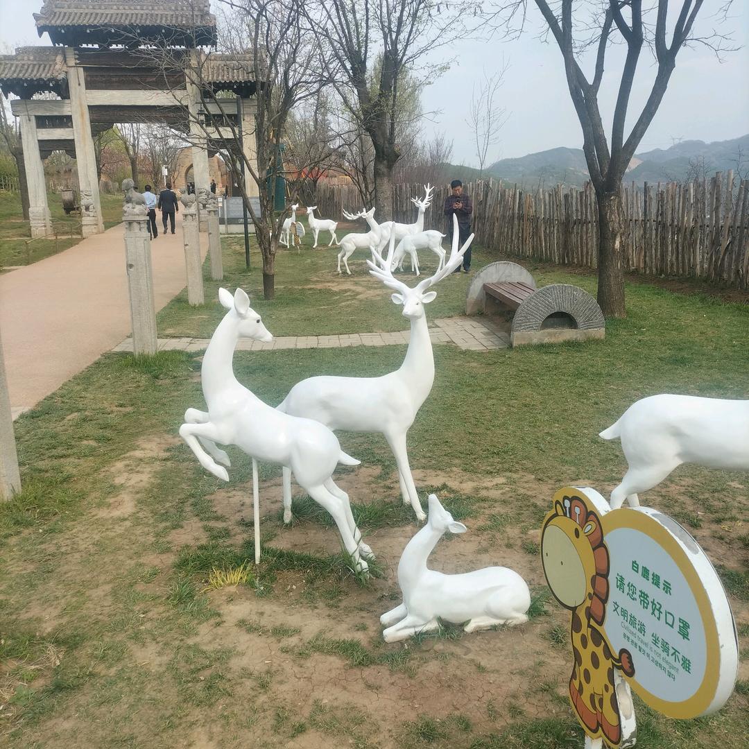 飞龙