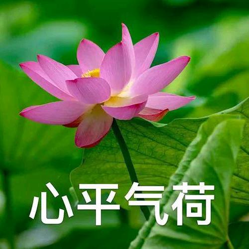 心乘风