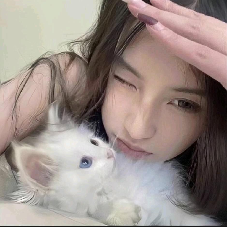 钱袋