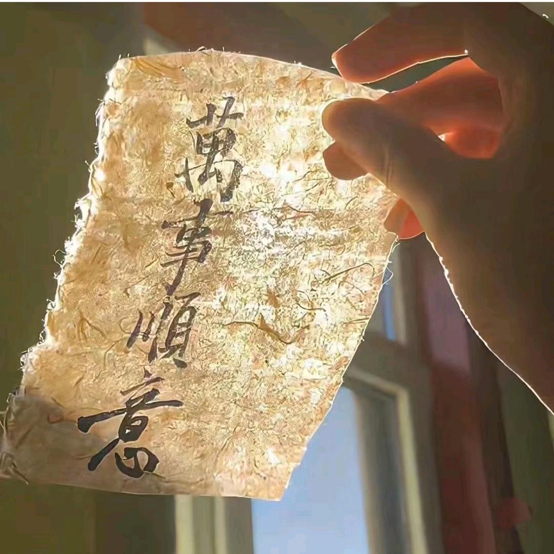 航航姐