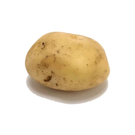 甜美土豆🥔