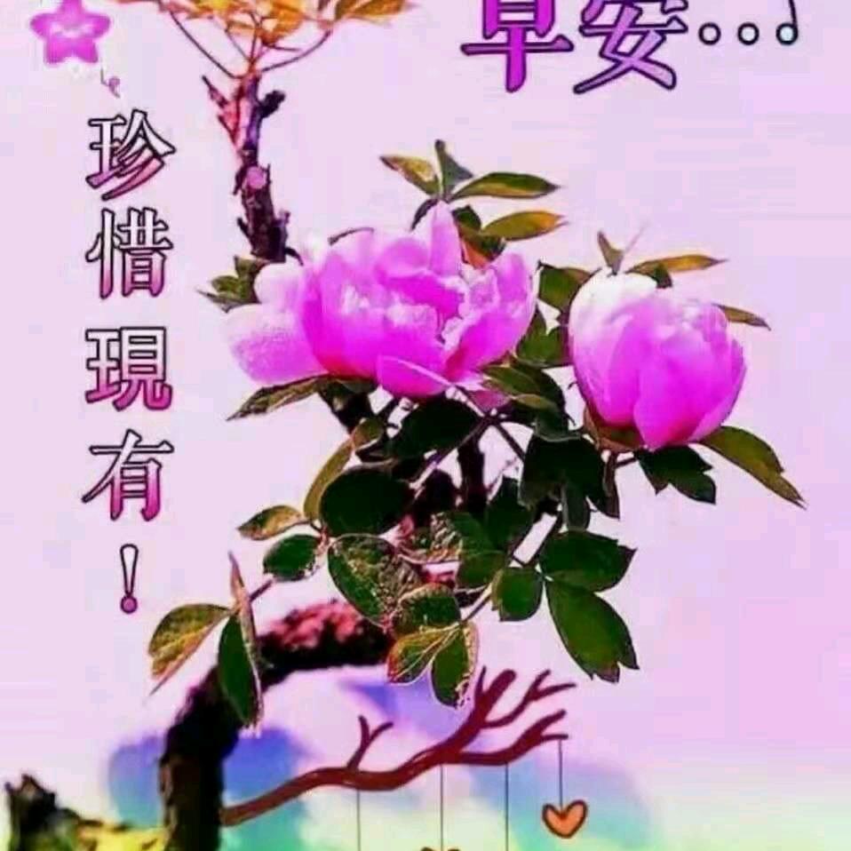 春暖花开
