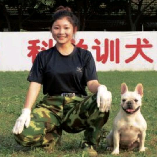 成都勇军训犬（徐教练）
