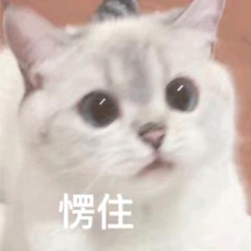 咖啡只喝生椰拿铁