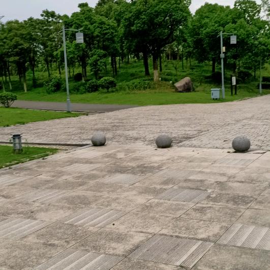 小龙哥（首播）