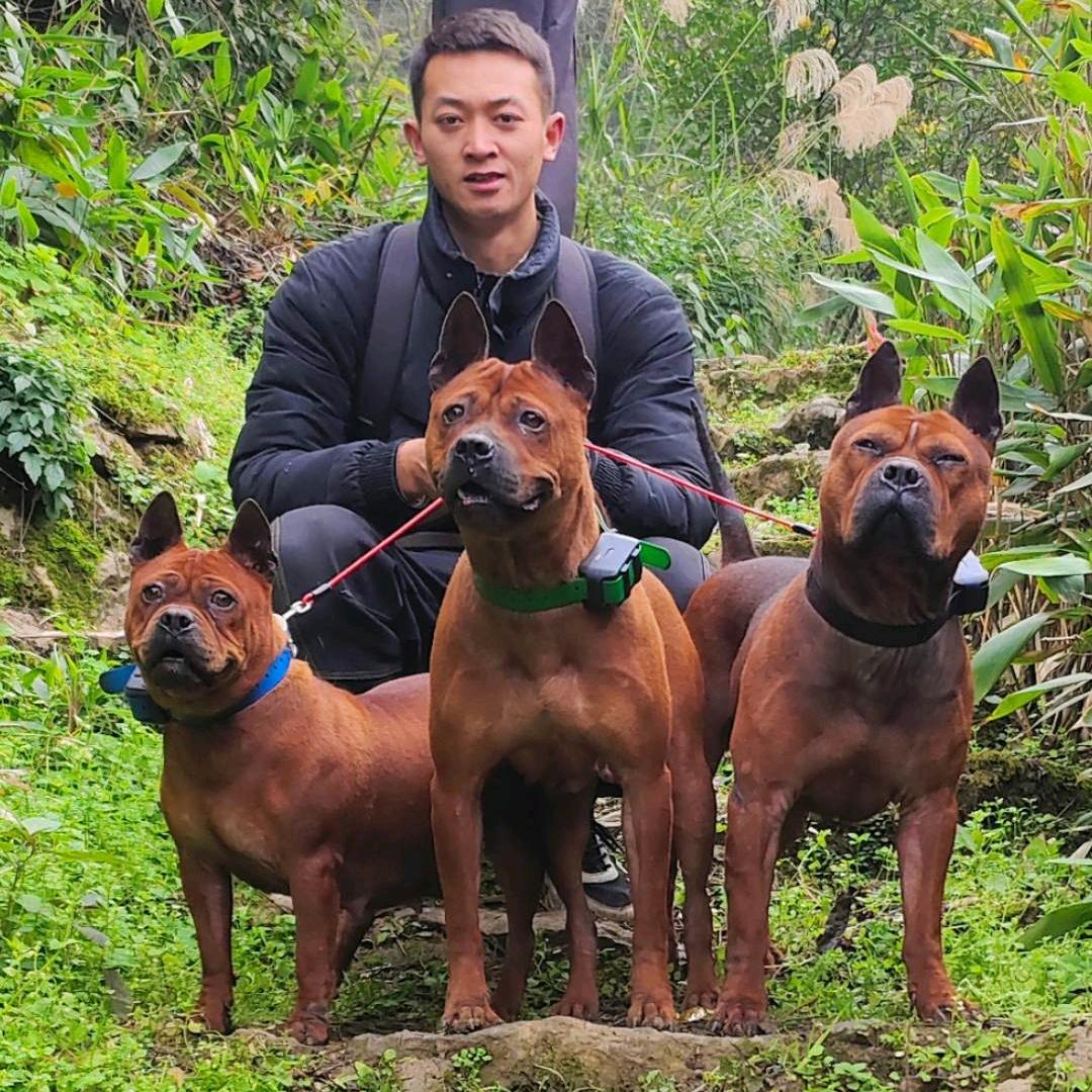 小张养川东