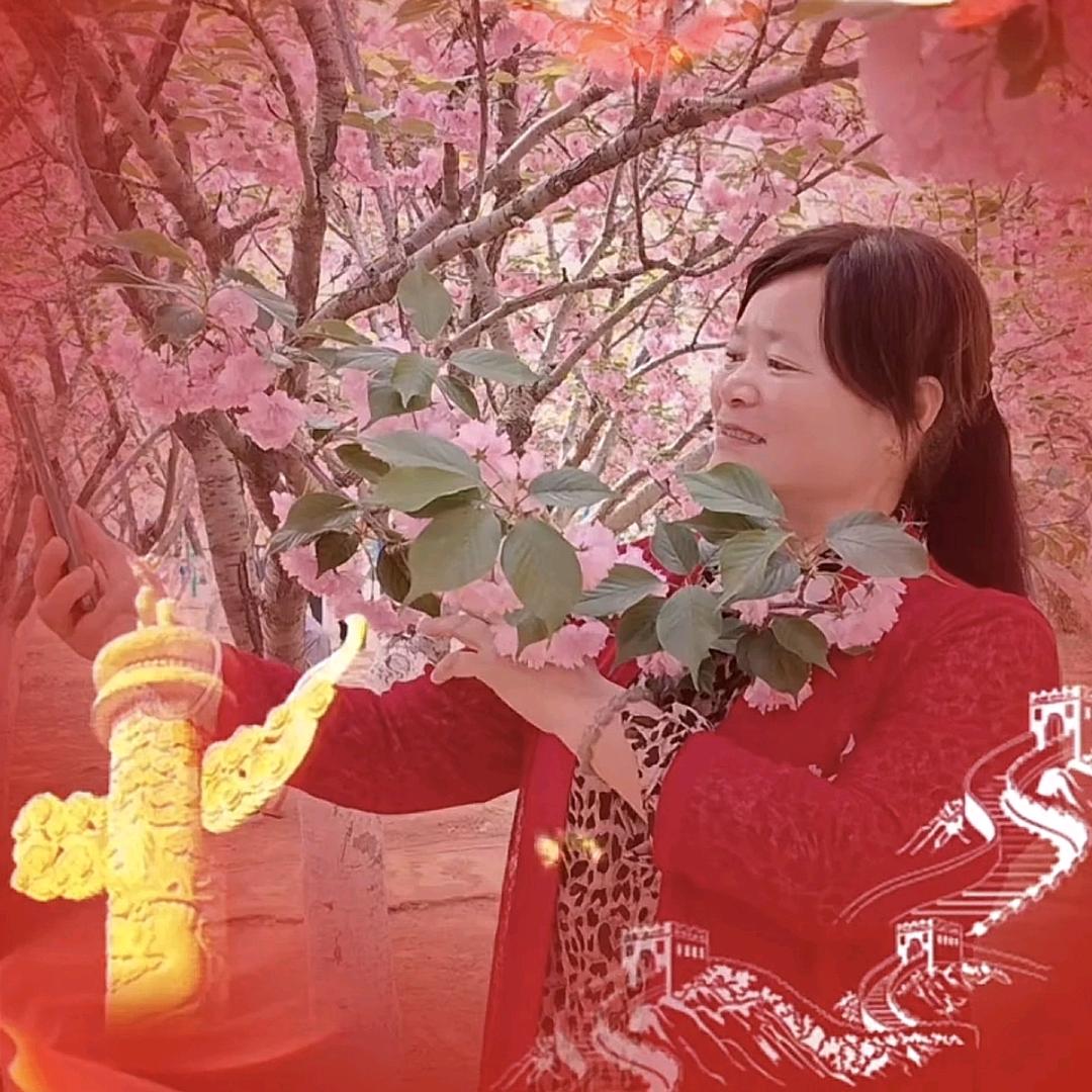 张姐🎤晚上六点五十直播