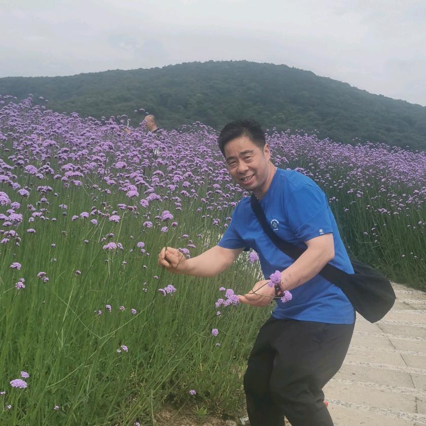 飞哥散养华北柴鸡老公鸡(喜总)