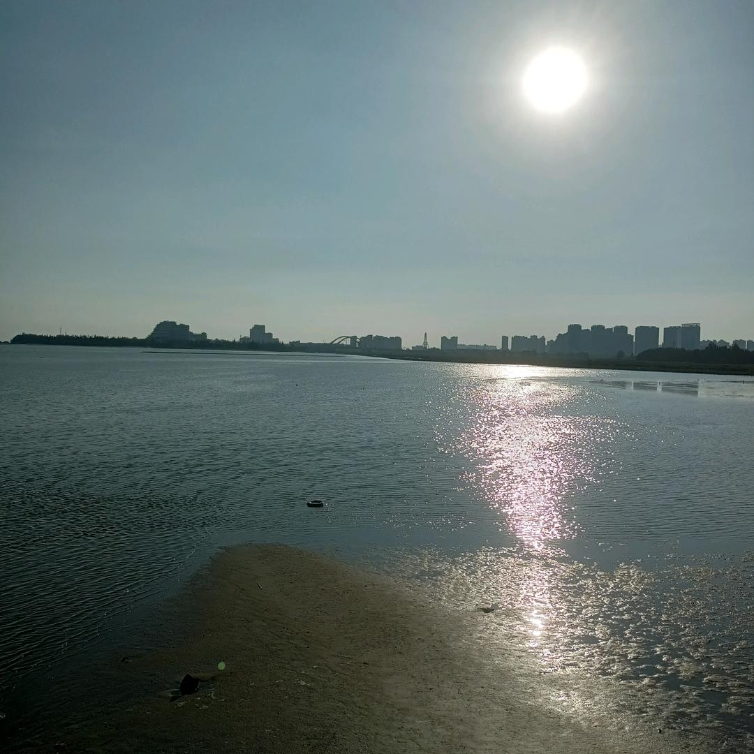 金八
