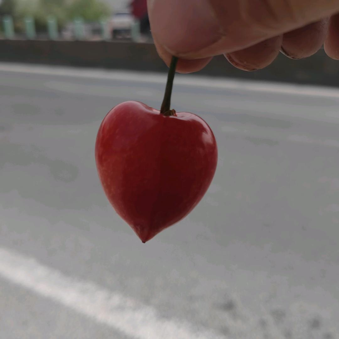 一杯苦咖啡@。。