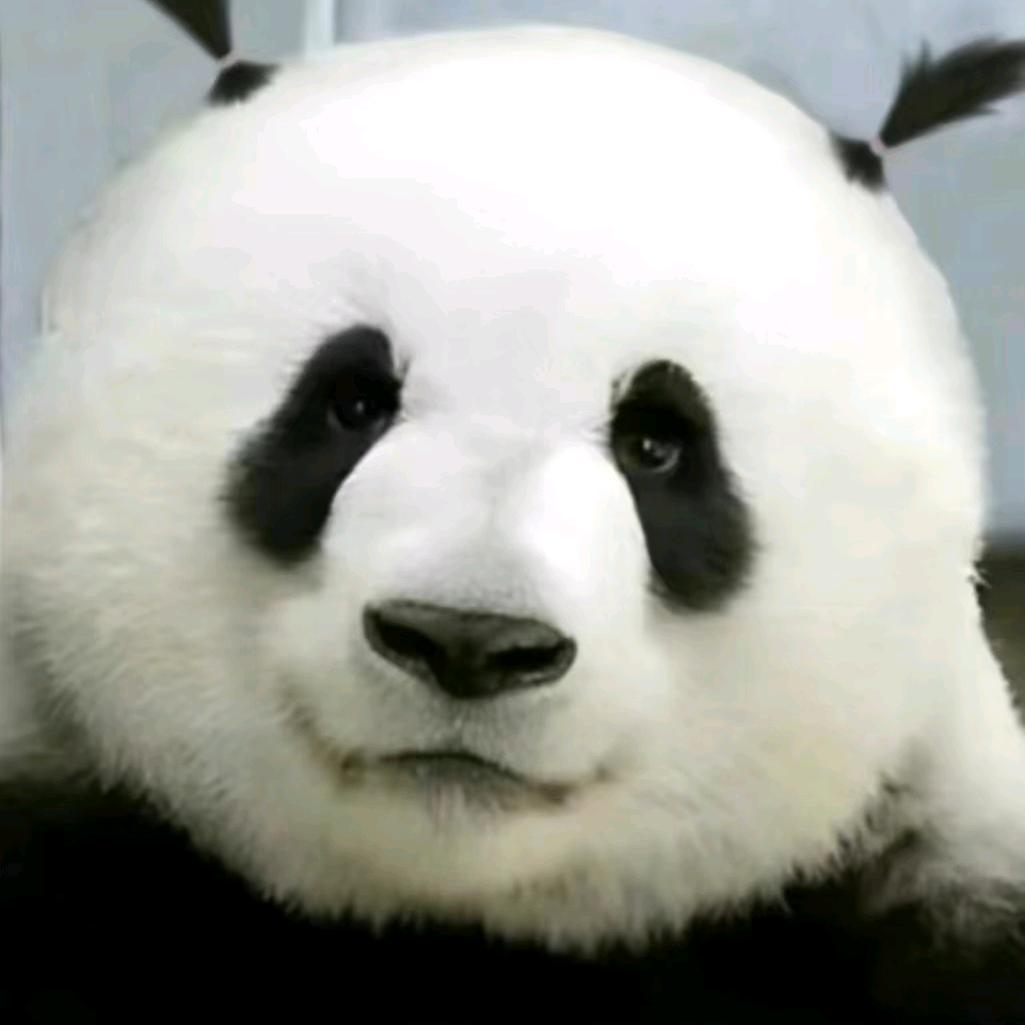 萌萌仔