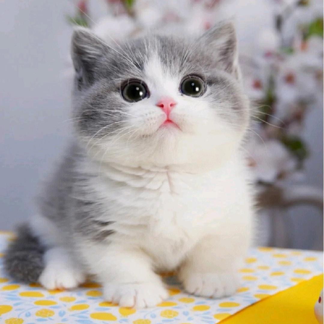 姐的作品有点@乱