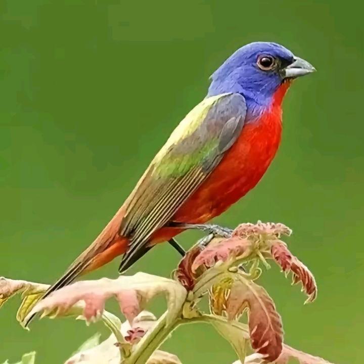 秦天