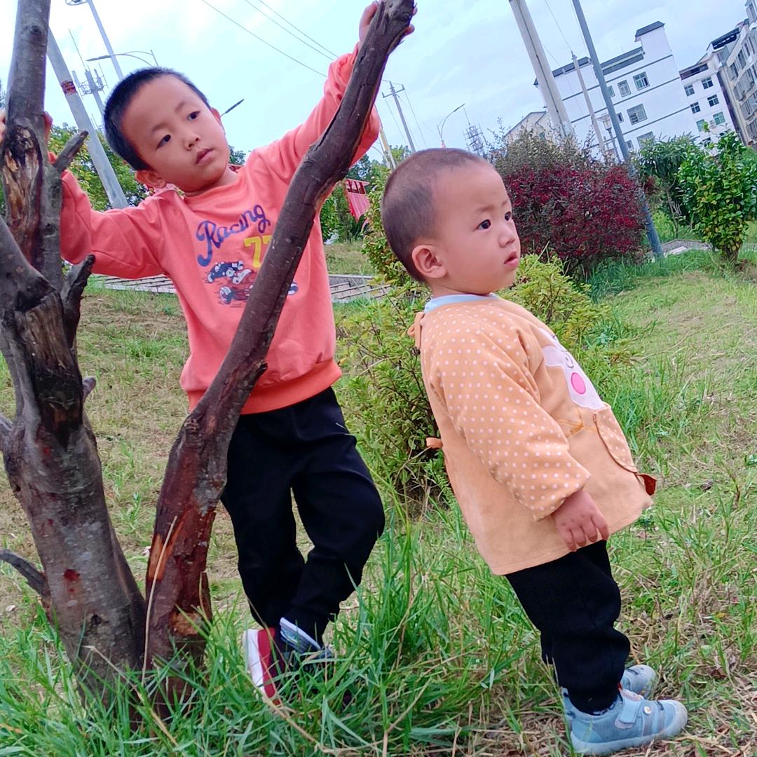 夏日小文子🌻🍀