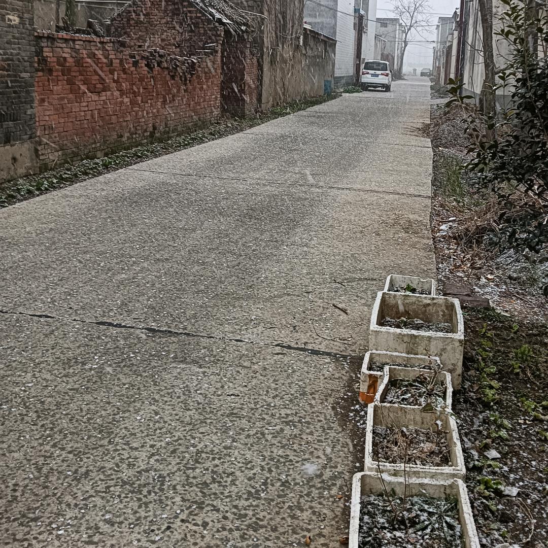 刘杨之好