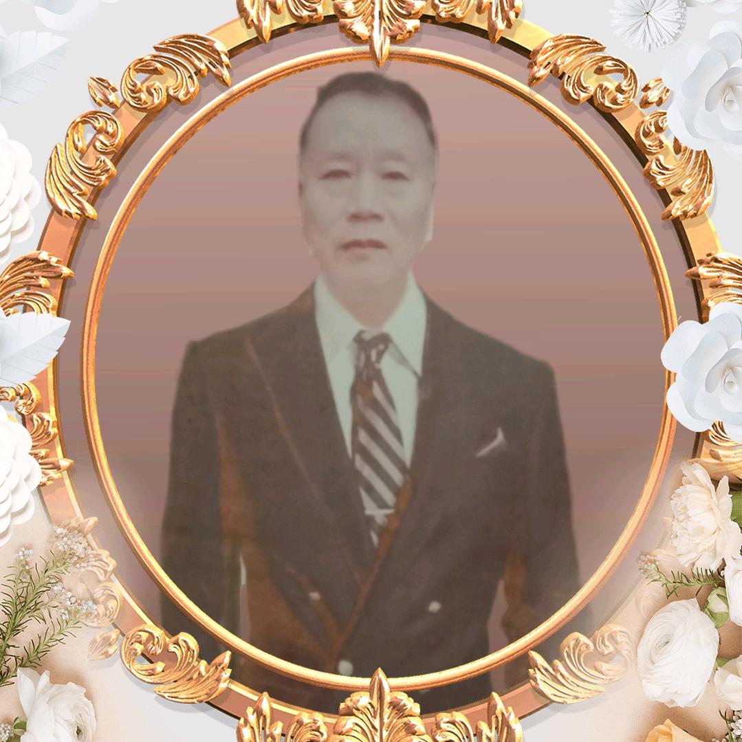 茂密森林