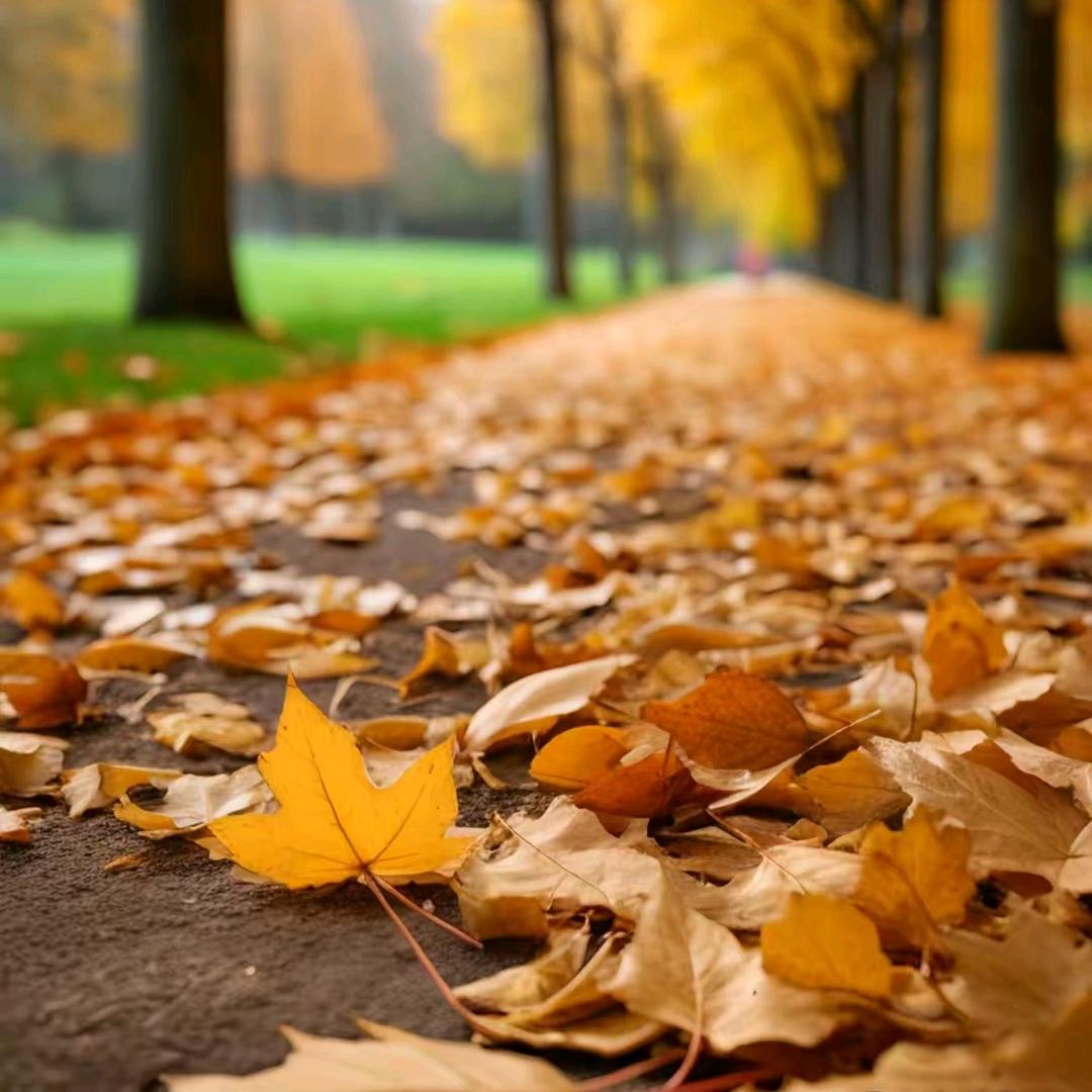 王者荣耀八一（登训营营长）