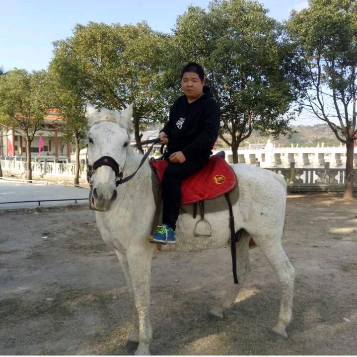 小杨