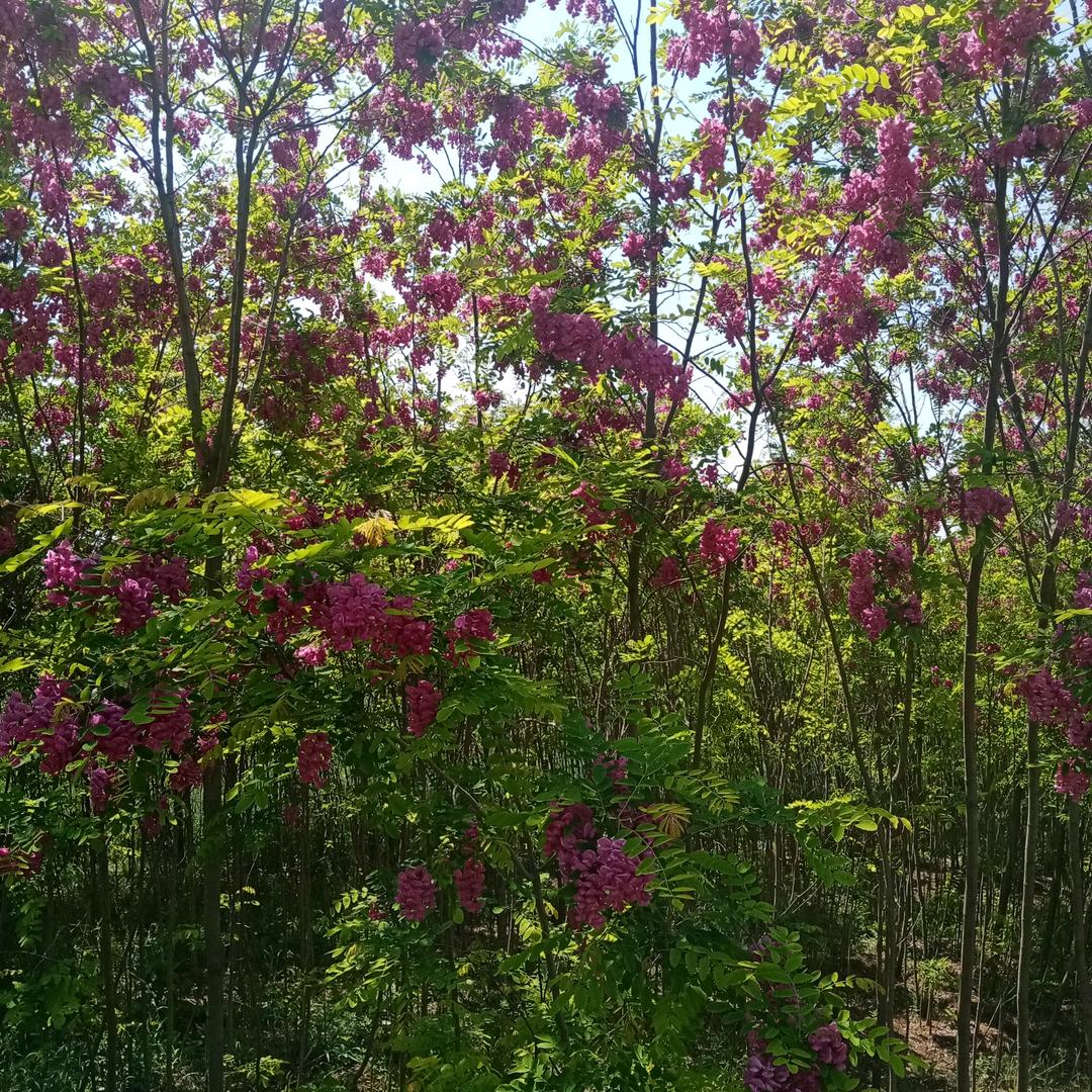 @一生平安