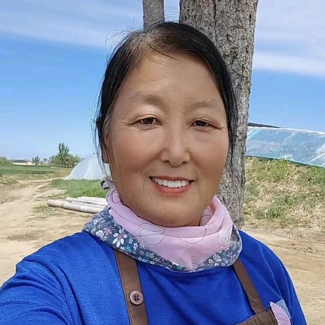 梅宝姐