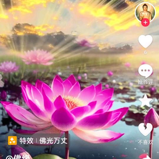 心想事成 🍎