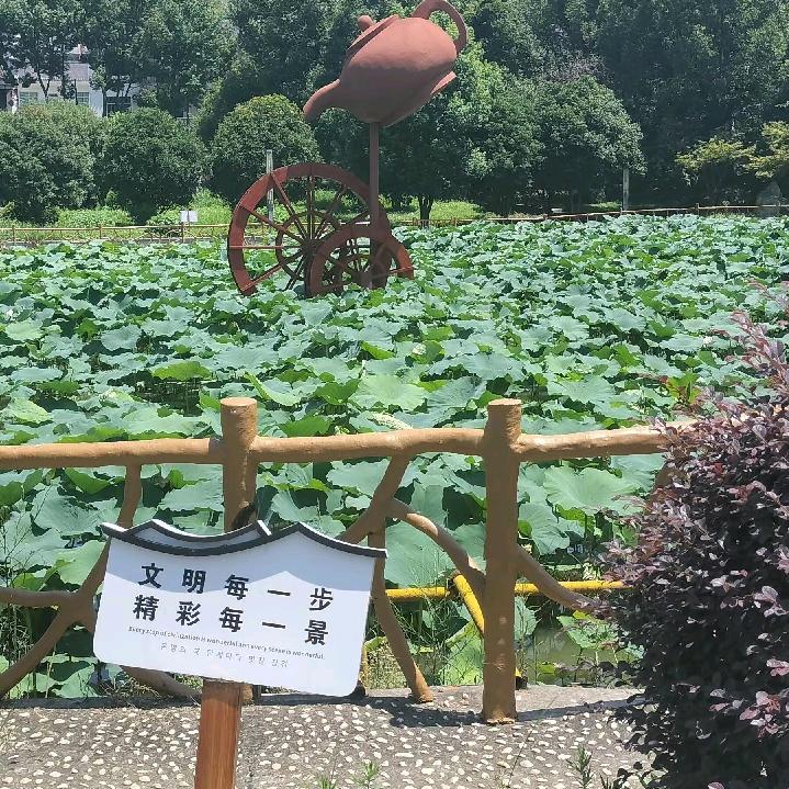 燕孑