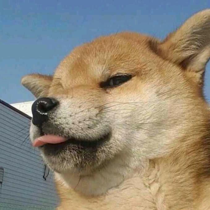 王者峡谷罗半仙