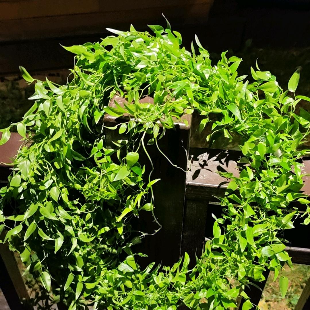 老铁