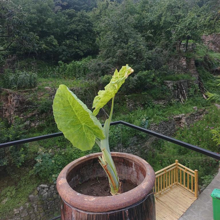 三生万物