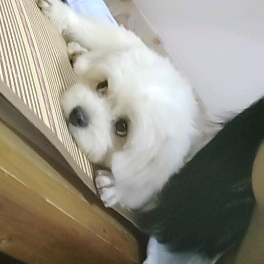 越来越好