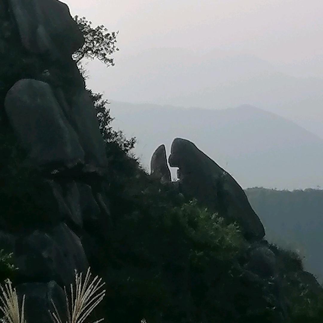 海利好