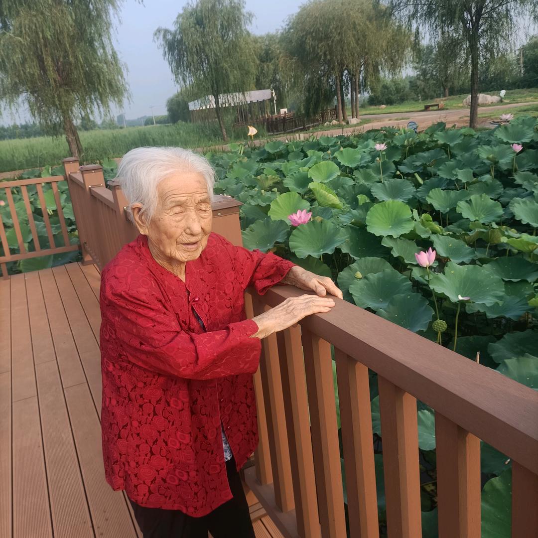 百岁老娘的日常生活